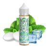 Steampunk Gear Multi Mint 2060ml