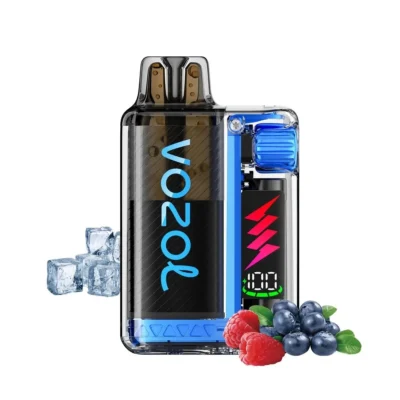Vozol Vista Plug Kit 2ml+10ml 20mg Blue Razz Ice 10K Puffs
