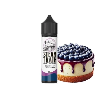 Steam Train Disposable Edition www.vaporstation.gr
