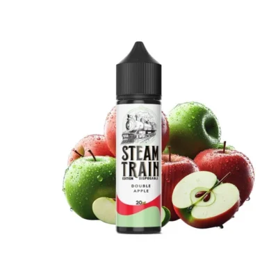 Steam Train Disposable Edition www.vaporstation.gr
