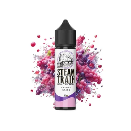 Steam Train Disposable Edition wwwvaporstationgr
