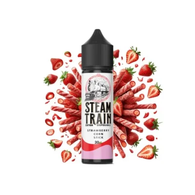 Steam Train Disposable Edition www.vaporstation.gr