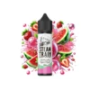 Steam Train Disposable Edition wwwvaporstationgr