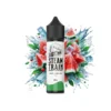 Steam Train Disposable Edition wwwvaporstationgr
