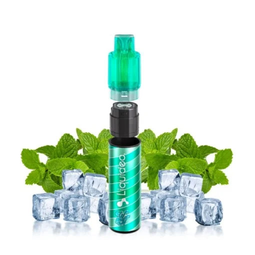 Οπτική απεικόνιση της προγεμισμένης συσκευής 15000puffs Liquideo Wpuff Fresh Mint.